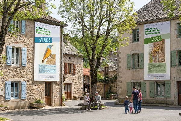 creation-baches-abc-biodiversite-communale-lozere-julie-mercey Bâches créées pour le projet national "ABC de la biodiversité communale" - Aquarelles de Juliette Lévéjac