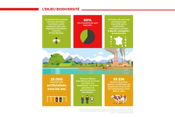 Création d'une infographie pour la Caisse des dépôts et consignations à Paris, par Julie Mercey, graphiste freelance en Occitanie